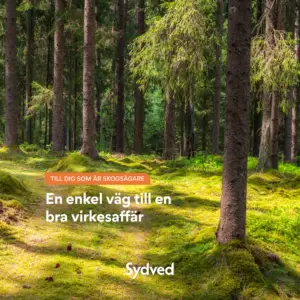 Folder - En enkel väg till en bra virkesaffär